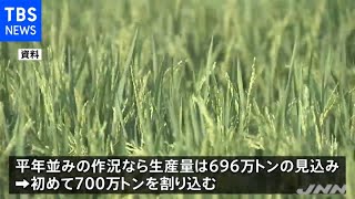 ２１年産米の作付面積が大幅減、生産量は初の７００万トン割れ