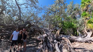 LA YANA - Cayo Largo, Cuba