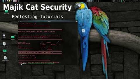 XSSer Cross Site Scripting Exploitation Testing Tutorial - Parrot Security
