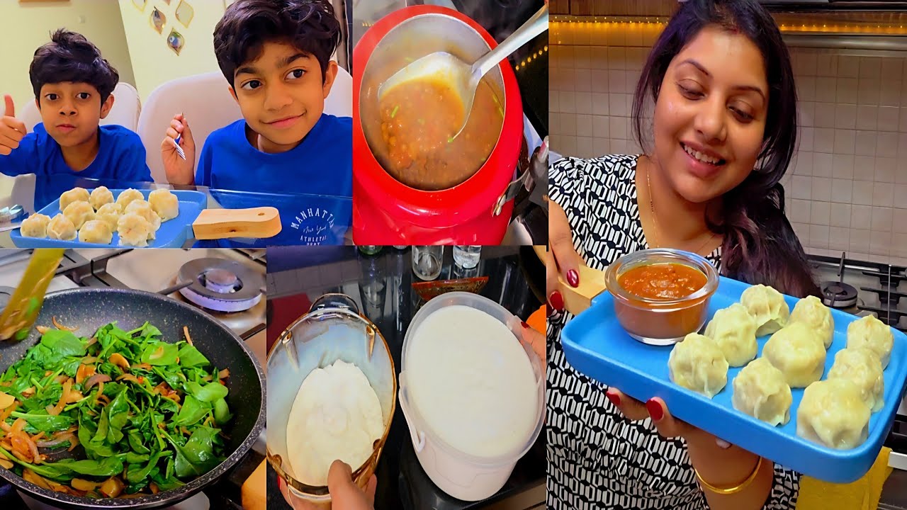 Full day Cooking 🍳 And Household Chores || Lazy Chicken Momos Banaya || Dosa Batter 