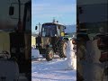 В Сибирской деревне на улицах после ночной метели переносы мало снега трактор МТЗ грейдер #баженит