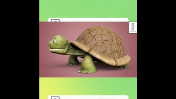 Turtle 3D Model | #3d #modeling #texturing #rendering #tutorial #shorts
