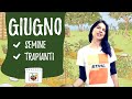 GIUGNO: cosa seminare e piantare adesso nell'ORTO
