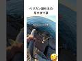 ペリカン 諦めるの早すぎて草