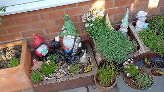 Our Garden May 5Th 2025