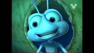 Disney Channel UK - A Bug’s Life (1998) December 3rd Bumper (2000)