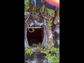 FETCHING WATER