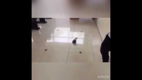 Presentación de robot (Rogic)