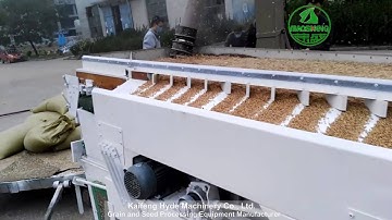 5XZ Seed Gravity Separator Machine Test with Dirty Wheat - Hyde Machinery www.kfhdjx.com