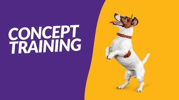 CONCEPT TRAINING: STATIONING WITH SHAPES