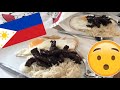 BRITISH GIRL TRIES TO COOK FILIPINO TAPSILOG?! - my favourite dish from the philippines (Tapa)