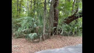 80 N Boone Road St video tour