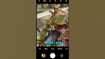 What I see and what my camera sees||Poco m2 pro macro😱 lens #shorts #youtubeshorts