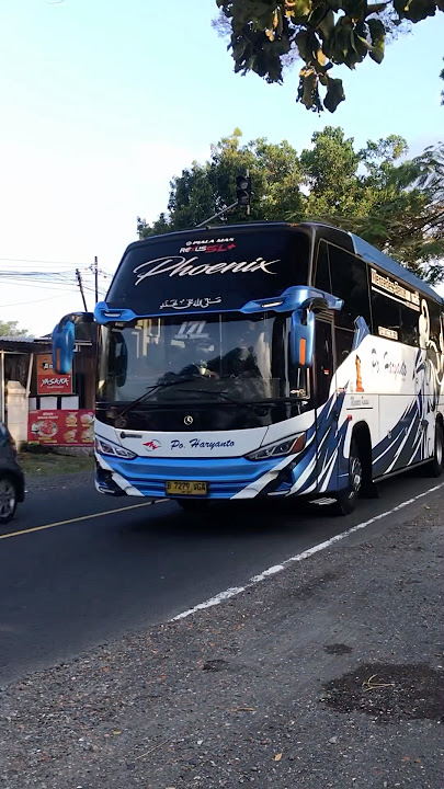 Bus Haryanto Dengan Julukan Phoenix #bismania #busmania  #haryanto #haryantomania