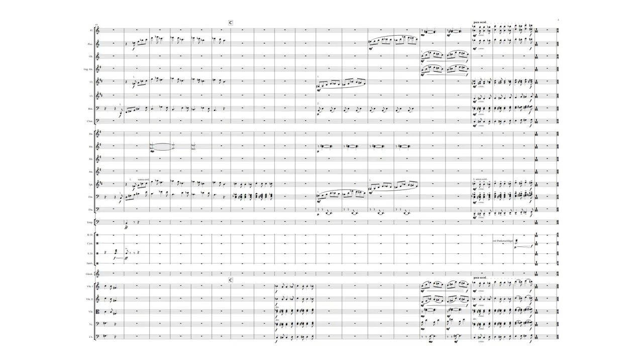 Van Hoorick - Symphony No. 4