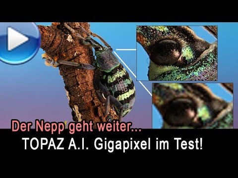 Der Nepp mit dem Größerrechnen von Bildern (Topaz AI Gigapixel im Test)