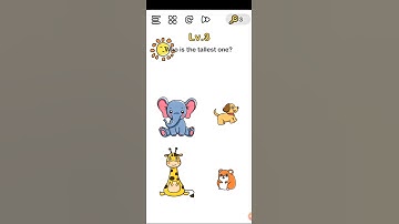 Brain out level 3 Who is the tallest one?