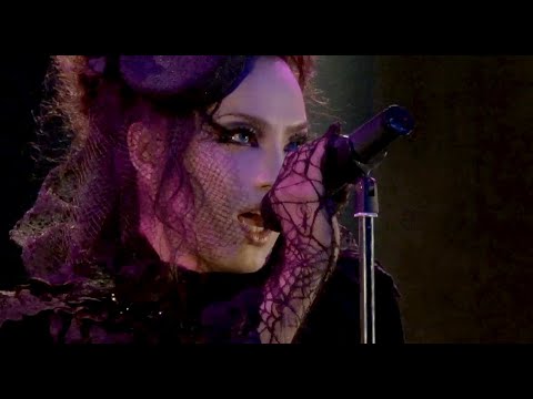 Kaya Official Channel - YouTube