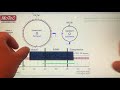 What’s @TunedbyShaneT Talking About Today? Injection Timing/Phase Angle