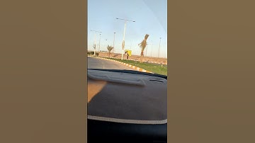 تلاوة مريحة للنفس بصوت ياسر الدوسري  صلو على خير البشر نبينا محمد ❤️ لاتنسون المتابعة و الايك