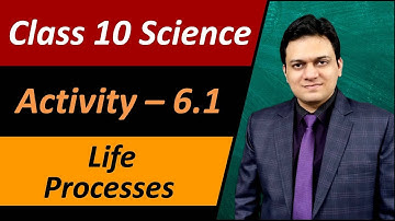 Activity 6.1 Class 10 Science Chapter 6 Life processes