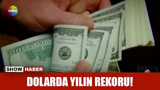 Dolardan yılın rekoru!