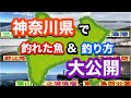 【大公開】神奈川県の釣り場別釣果と釣り方！