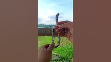 Knot Skills That Will Change Your Life”#KnotTutorial #a #rope #HowToTie #RopeSkills #KnotGuide