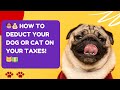 🐶💰 How to Deduct Your Dog or Cat on Your Taxes! 🐱💵