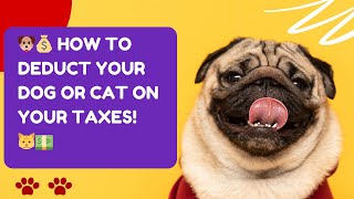 🐶💰 How to Deduct Your Dog or Cat on Your Taxes! 🐱💵