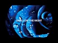 BAROQUE - SWALLOW THE NIGHT