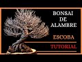 🙀COMO HACER UN BONSAI DE ALAMBRE ESTILO ESCOBA || HOKIDACHI 2