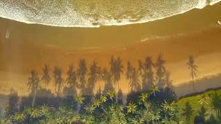 Футаж  Море Пальмы Пляж. Background sea palm trees beach