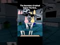 Secretary Crashes Out At Intern In Animal Hospital Anomaly Animation #roblox #animalhospital #update