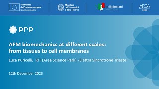 AFM biomechanics at different scales: from tissues to cell membranes