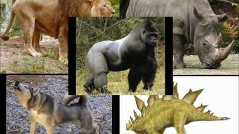 Mutant Transformer Animals Movie 1