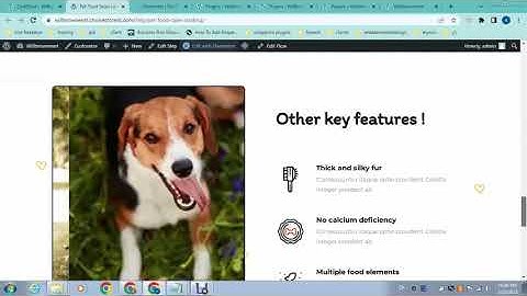 How to create a sales funnel in wordpress website only just in 5 minutes? cartflows wordpress funnel