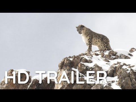 DER SCHNEELEOPARD Trailer OmU German | Deutsch