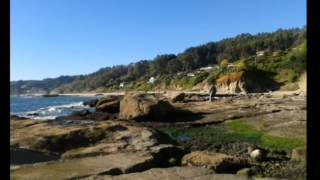 LOS BAGRES - COCHOLGUE TOMÉ - REGIÓN DEL BIOBIO