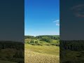 Деревенские виды на лес , природа