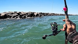 From Jetty To Surf - Will Anything Bite In Relentless Wind? (Eating What I Catch)