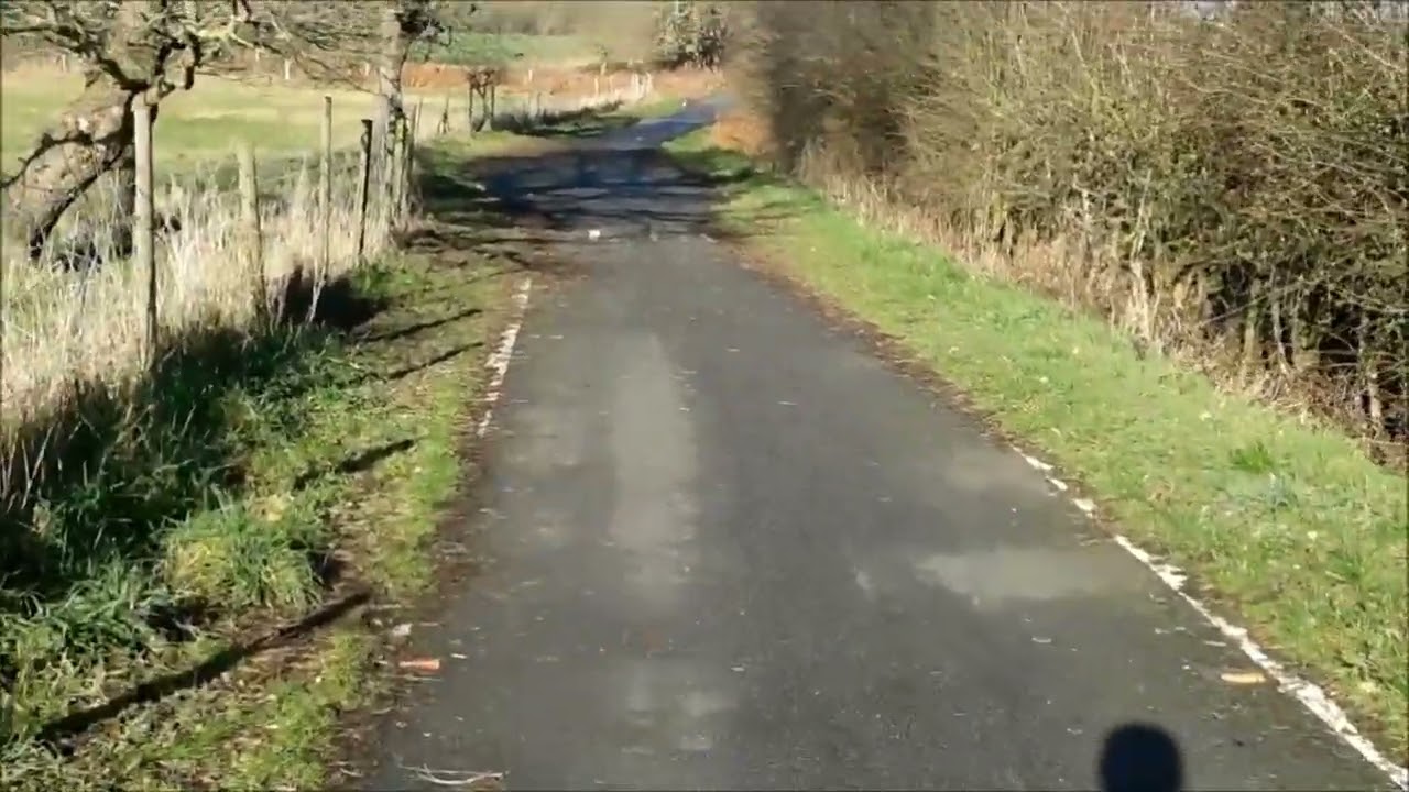 SANDY LANE with a bacon toastie