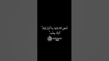 ماهر المعيقلي - سورة النساء ( برواية حفص عن عاصم ) الأية 166