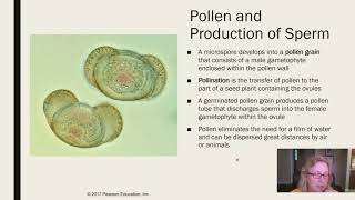 Plant Diversity II Part 1