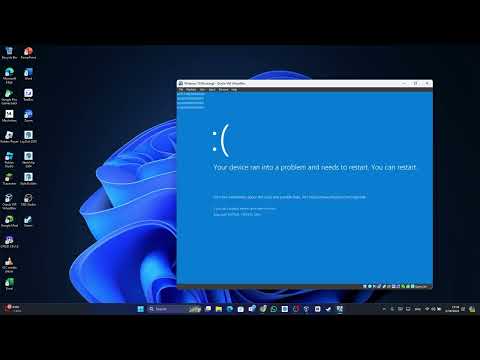 Get a bsod again with type a wininit on taskmgr. But using windows 10 Atlas OS