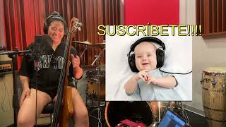 Baby Bass : Introducción y Primeros Pasos