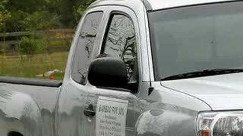 Mockingbird at Mirror