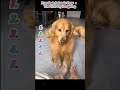 Try Not To Laugh Fails 🤣