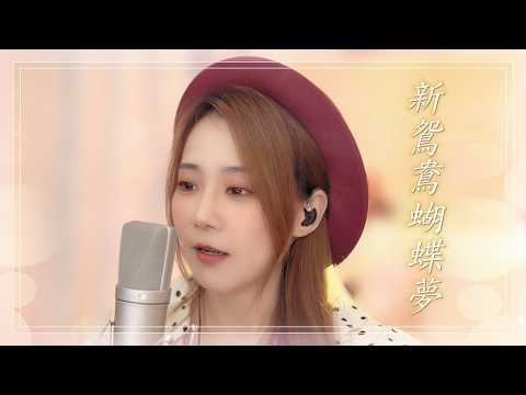 授權系列歌曲《 新鴛鴦蝴蝶夢 》粵語重製版 / 演唱 : 亮聲open