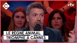 Le règne animal : métaphore du monde d'aujourd'hui - C à vous - 18/05/2023